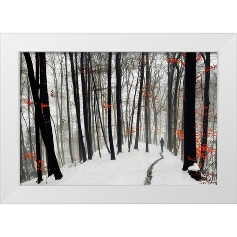 Through autumn and winter White Modern Wood Framed Art Print by Krivec