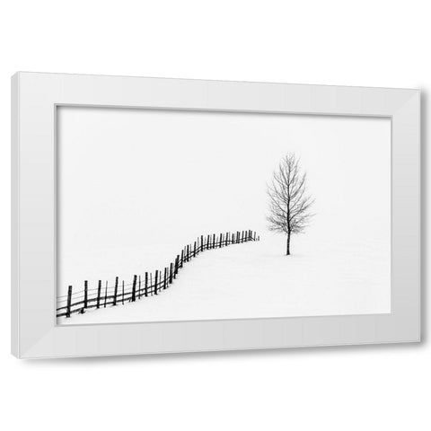 Silence  White Modern Wood Framed Art Print by Lucian, Dorin
