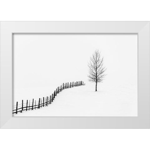 Silence  White Modern Wood Framed Art Print by Lucian, Dorin