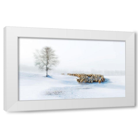 In Snow White Modern Wood Framed Art Print by Zhu
