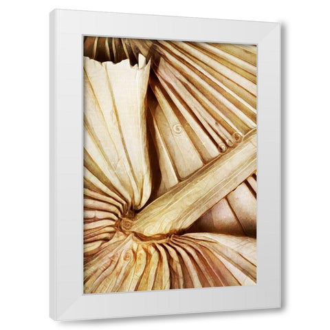 Natural Dried Palms I  White Modern Wood Framed Art Print by Aldridge, Ashley