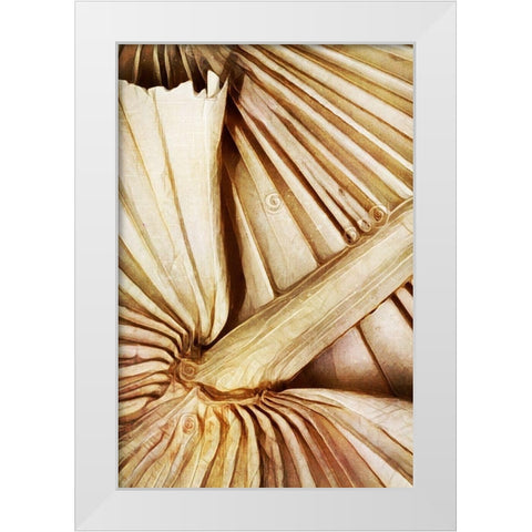 Natural Dried Palms I  White Modern Wood Framed Art Print by Aldridge, Ashley