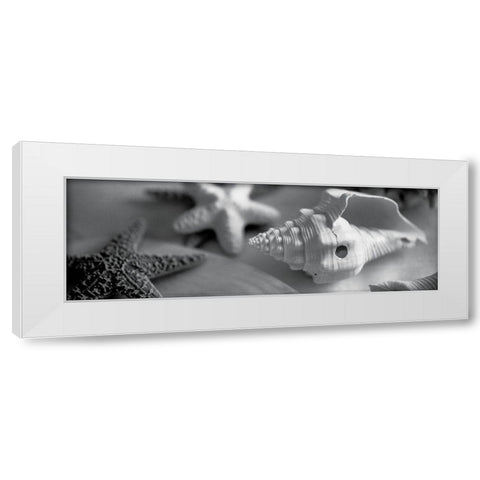Coastal Collection II White Modern Wood Framed Art Print by YK Studios
