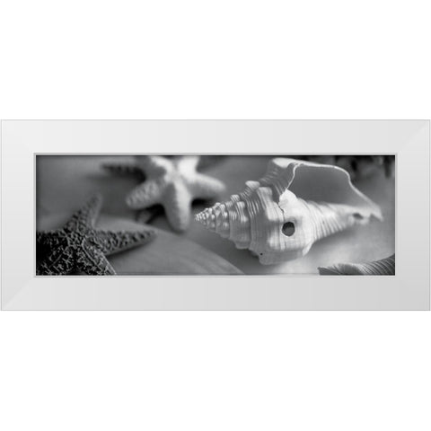 Coastal Collection II White Modern Wood Framed Art Print by YK Studios