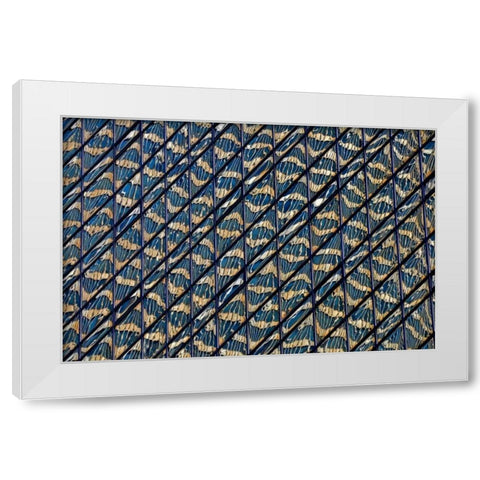 Guilding White Modern Wood Framed Art Print by Zimbalist, David