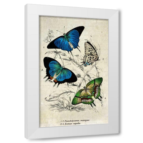 Kirby Butterflies I White Modern Wood Framed Art Print by Zalewski, Christine