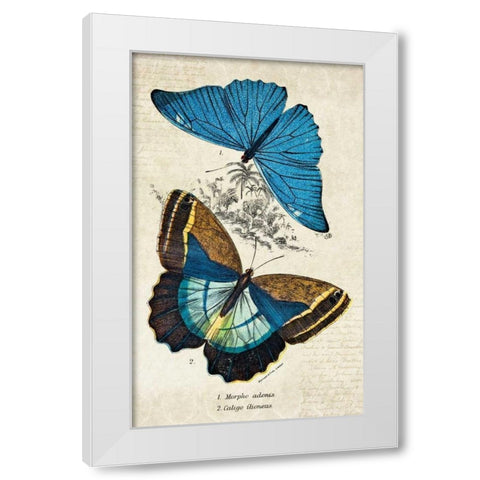 Kirby Butterflies II White Modern Wood Framed Art Print by Zalewski, Christine