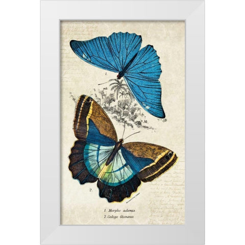 Kirby Butterflies II White Modern Wood Framed Art Print by Zalewski, Christine