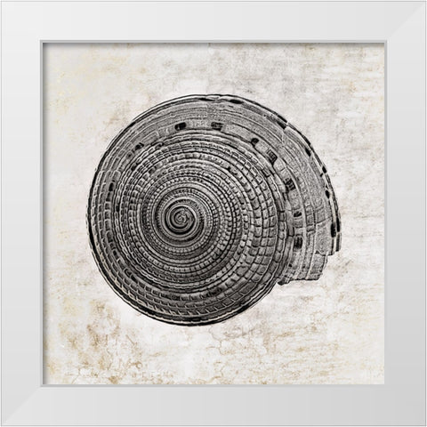 Aquatic Resources I White Modern Wood Framed Art Print by Zalewski, Christine