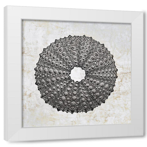 Aquatic Resources II White Modern Wood Framed Art Print by Zalewski, Christine