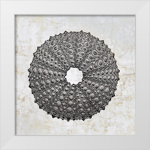 Aquatic Resources II White Modern Wood Framed Art Print by Zalewski, Christine