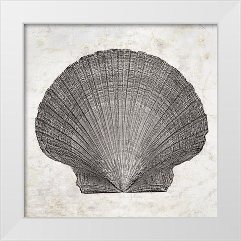 Aquatic Resources III White Modern Wood Framed Art Print by Zalewski, Christine