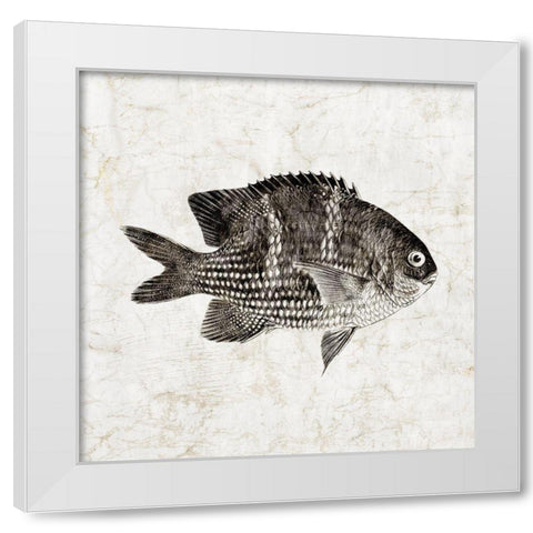 Vintage Fish I White Modern Wood Framed Art Print by Zalewski, Christine