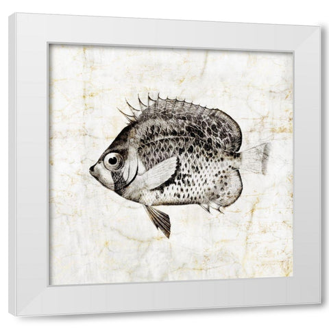 Vintage Fish IV White Modern Wood Framed Art Print by Zalewski, Christine