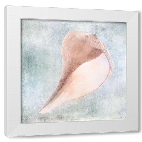 Blue Cream Sea Shell  White Modern Wood Framed Art Print by Zalewski, Christine