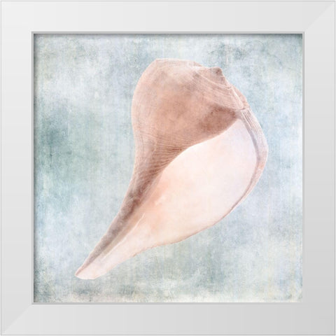 Blue Cream Sea Shell  White Modern Wood Framed Art Print by Zalewski, Christine