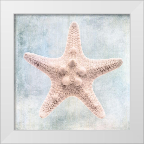 Blue Cream Starfish  White Modern Wood Framed Art Print by Zalewski, Christine