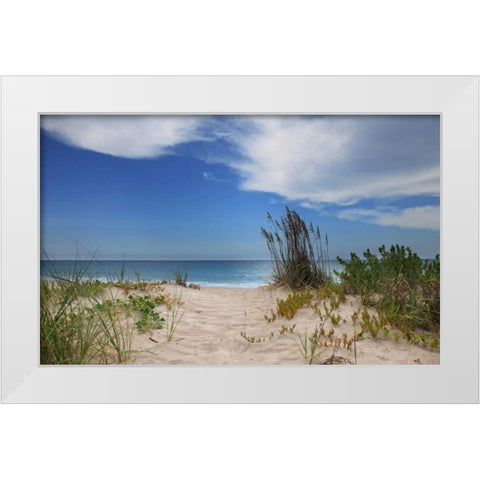 Dune Trail White Modern Wood Framed Art Print by Anderson, Brent