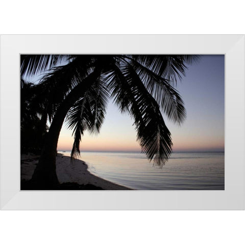 Palm Tree Sunset White Modern Wood Framed Art Print by Anderson, Brent