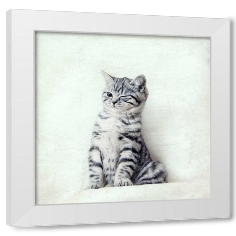 Cat Winks White Modern Wood Framed Art Print by Attura, Nadia