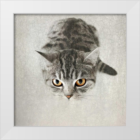 Hello Kitty White Modern Wood Framed Art Print by Attura, Nadia