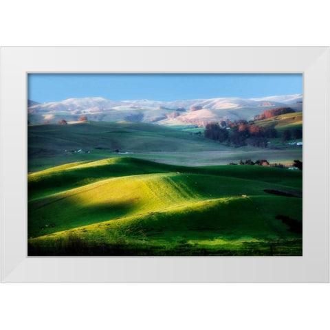 Day in August White Modern Wood Framed Art Print by Aron, Lucy