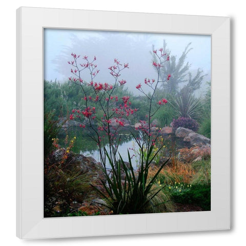 Scarlet White Modern Wood Framed Art Print by Aron, Lucy