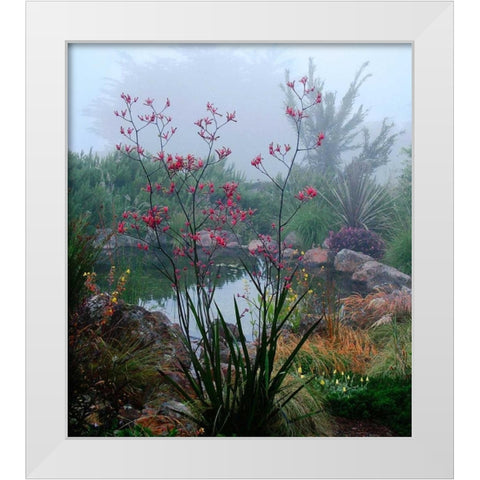 Scarlet White Modern Wood Framed Art Print by Aron, Lucy