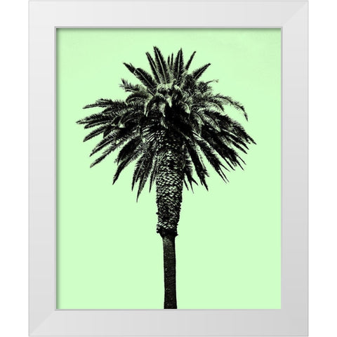 Palm Tree 1996 (Green) White Modern Wood Framed Art Print by Asla, Erik