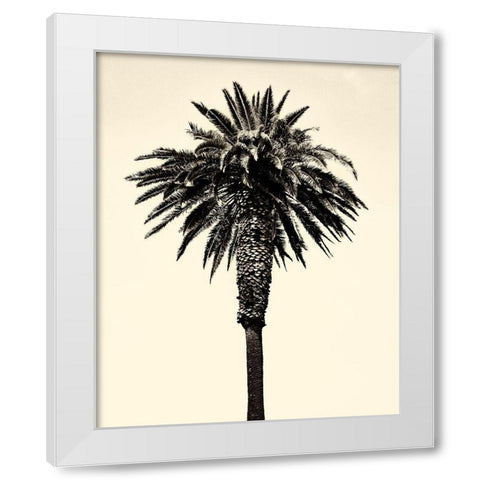 Palm Tree 1996 (Tan) White Modern Wood Framed Art Print by Asla, Erik