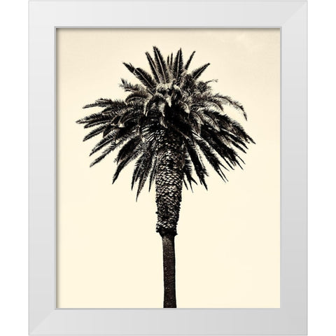 Palm Tree 1996 (Tan) White Modern Wood Framed Art Print by Asla, Erik