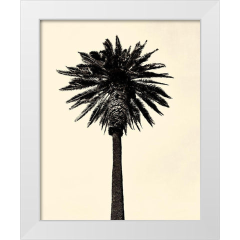 Palm Tree 1979 Tan White Modern Wood Framed Art Print by Asla, Erik