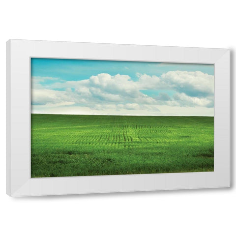 Signs of Life White Modern Wood Framed Art Print by Annie Bailey Art