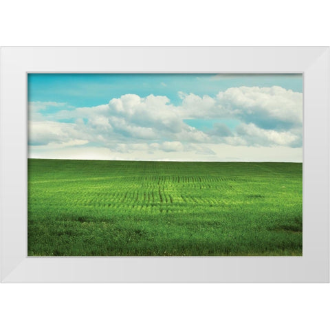 Signs of Life White Modern Wood Framed Art Print by Annie Bailey Art