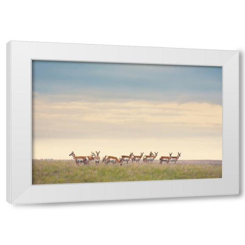 Strength in Numbers White Modern Wood Framed Art Print by Annie Bailey Art