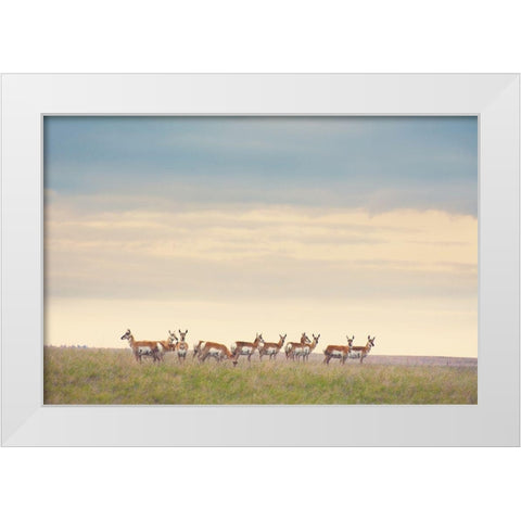 Strength in Numbers White Modern Wood Framed Art Print by Annie Bailey Art