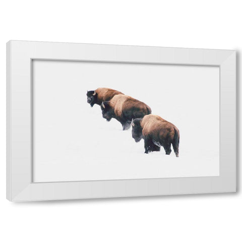Yellowstone Trio White Modern Wood Framed Art Print by Annie Bailey Art
