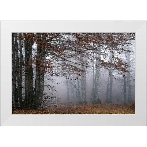 Autumn Paintings White Modern Wood Framed Art Print by Artemiadi, Dora