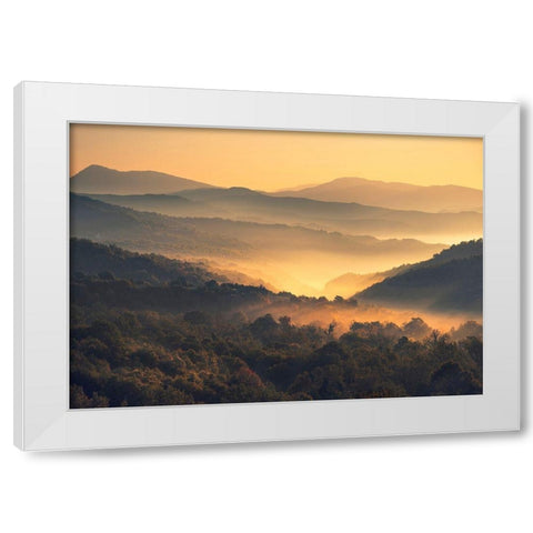 Awakening White Modern Wood Framed Art Print by Artemiadi, Dora