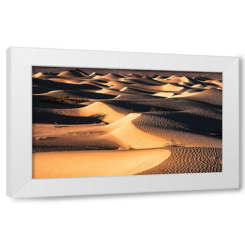Death Valley White Modern Wood Framed Art Print by Artemiadi, Dora