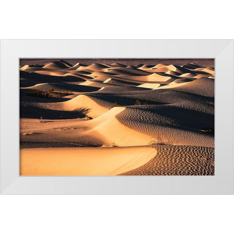 Death Valley White Modern Wood Framed Art Print by Artemiadi, Dora