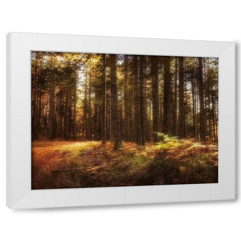 Painting of a Forest White Modern Wood Framed Art Print by Artemiadi, Dora