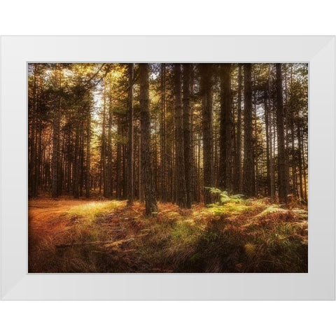 Painting of a Forest White Modern Wood Framed Art Print by Artemiadi, Dora