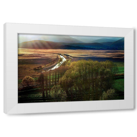 Poems in the Sun White Modern Wood Framed Art Print by Artemiadi, Dora