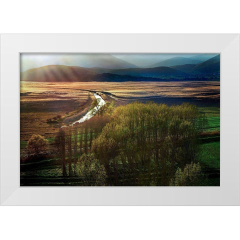 Poems in the Sun White Modern Wood Framed Art Print by Artemiadi, Dora