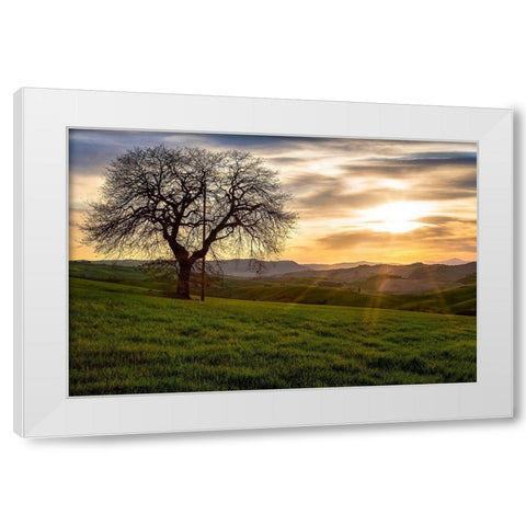The Tree White Modern Wood Framed Art Print by Artemiadi, Dora