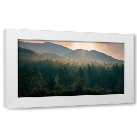 Awakenings White Modern Wood Framed Art Print by Artemiadi, Dora