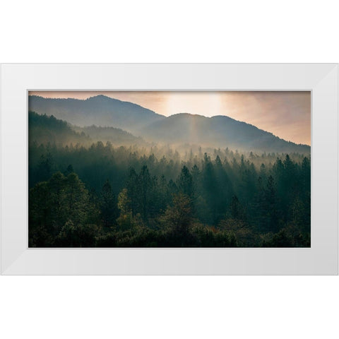 Awakenings White Modern Wood Framed Art Print by Artemiadi, Dora