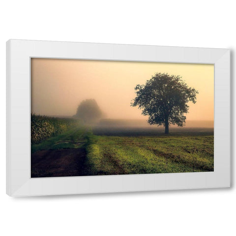 Morning Mist White Modern Wood Framed Art Print by Artemiadi, Dora