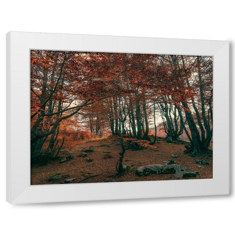 The Orange Season White Modern Wood Framed Art Print by Artemiadi, Dora